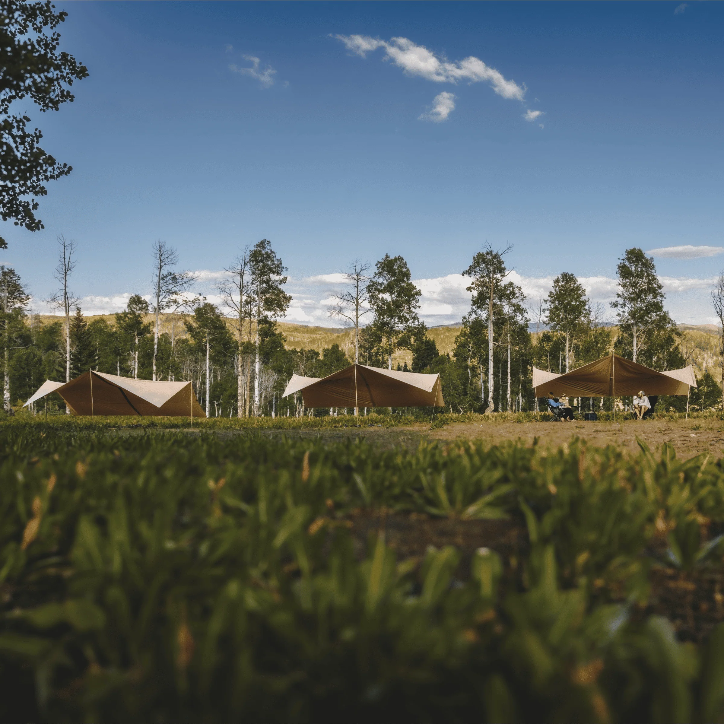 Sunshade Tarp - Image 5