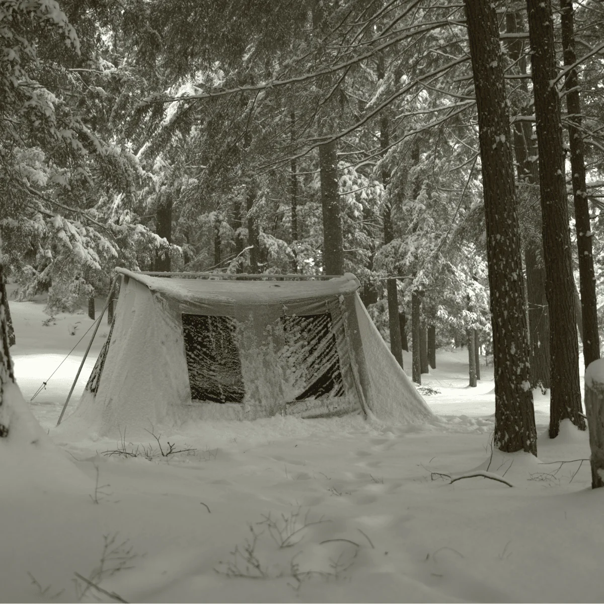 10’x14’ Prota Canvas Tent, Deluxe - Image 3
